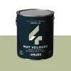Absolu Peinture Multi-supports Peinture brindille - 4MURS