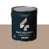 Absolu Peinture Multi-supports Peinture muscade 2,5 L - 4MURS
