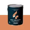 Absolu Peinture Peinture terre cuite Mat 2,5 L - 4MURS