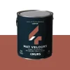 Absolu Peinture Peinture canyon Mat 2,5 L - 4MURS