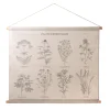 Amadeus Cades Décoration à suspendre PLANTES MÉDICINALES beige - 4MURS