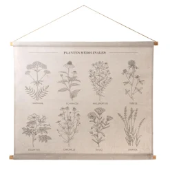Amadeus Cades Décoration à suspendre PLANTES MÉDICINALES beige - 4MURS
