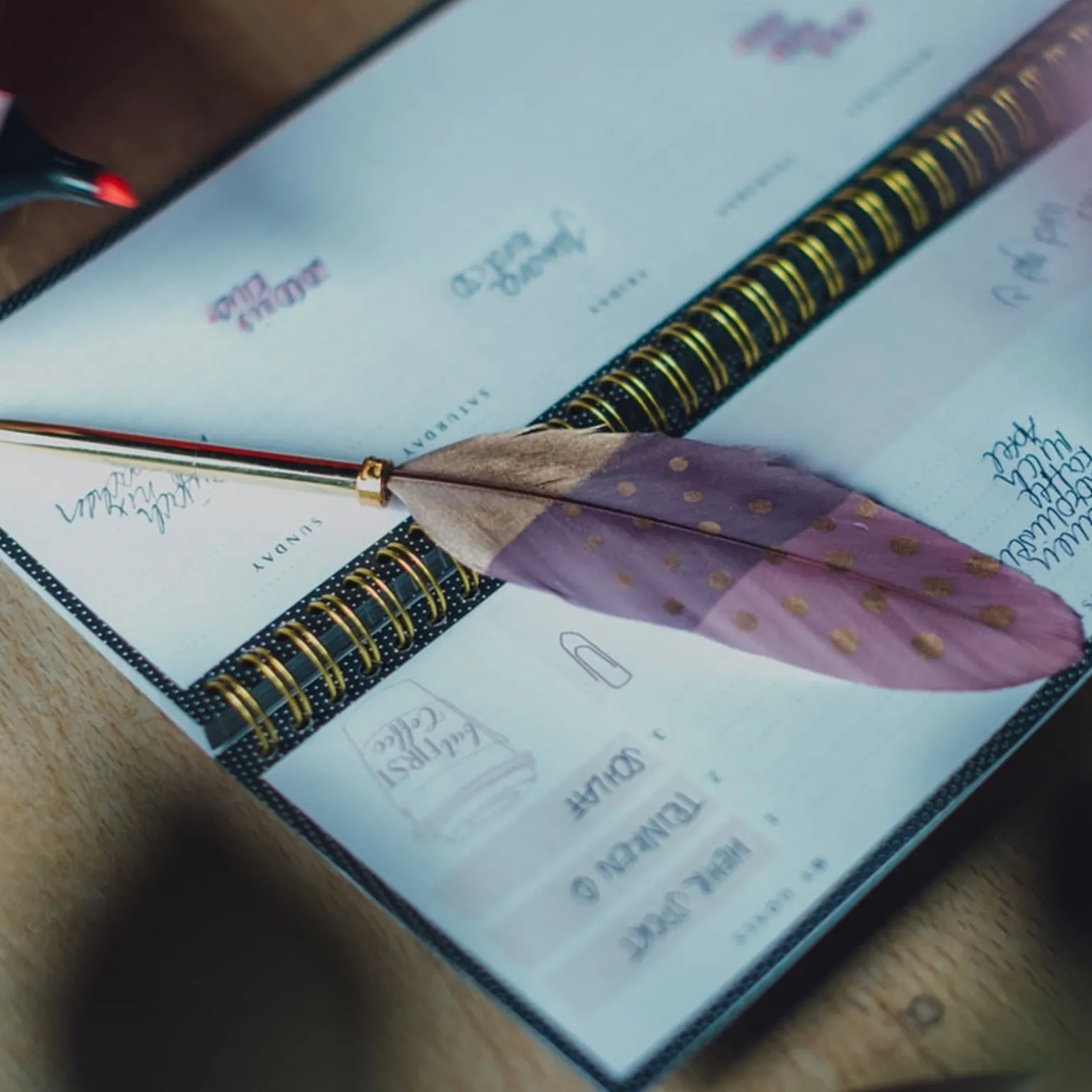 Artebene Stylo NILLY coloris or - 4MURS