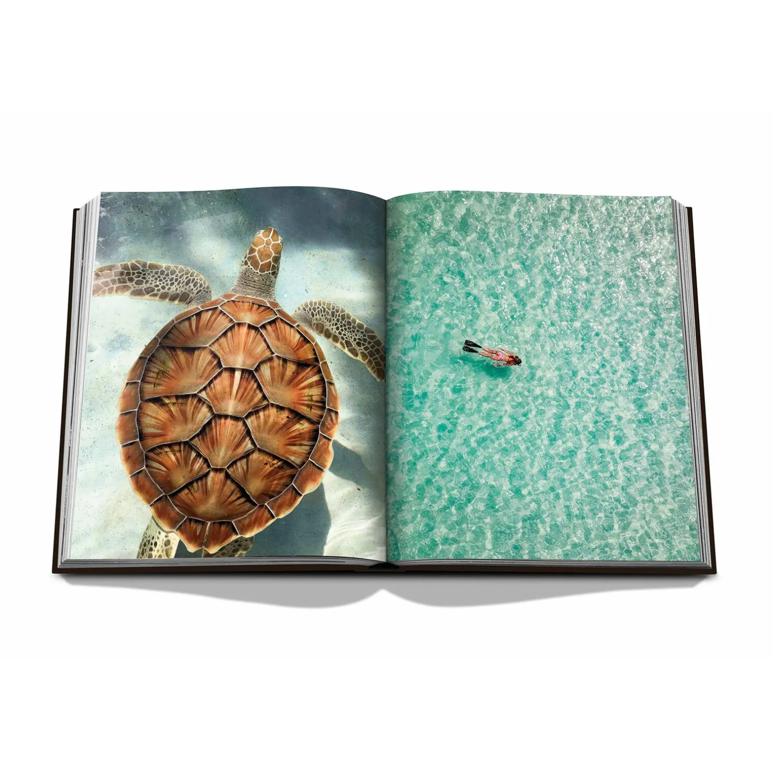 Assouline Livre voyage et nature JAMAICA VIBES - 4MURS