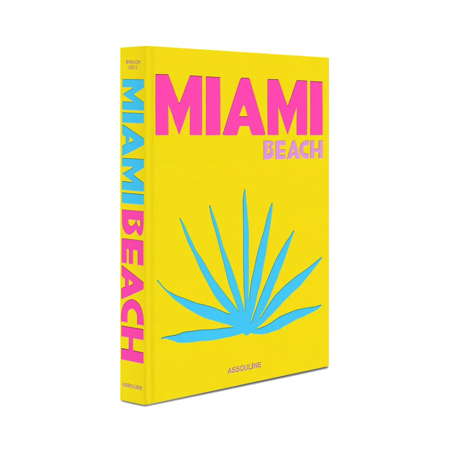 Assouline Livre voyage et nature MIAMI BEACH - 4MURS