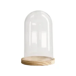 Cloche DALLAS M coloris transparent - 4MURS