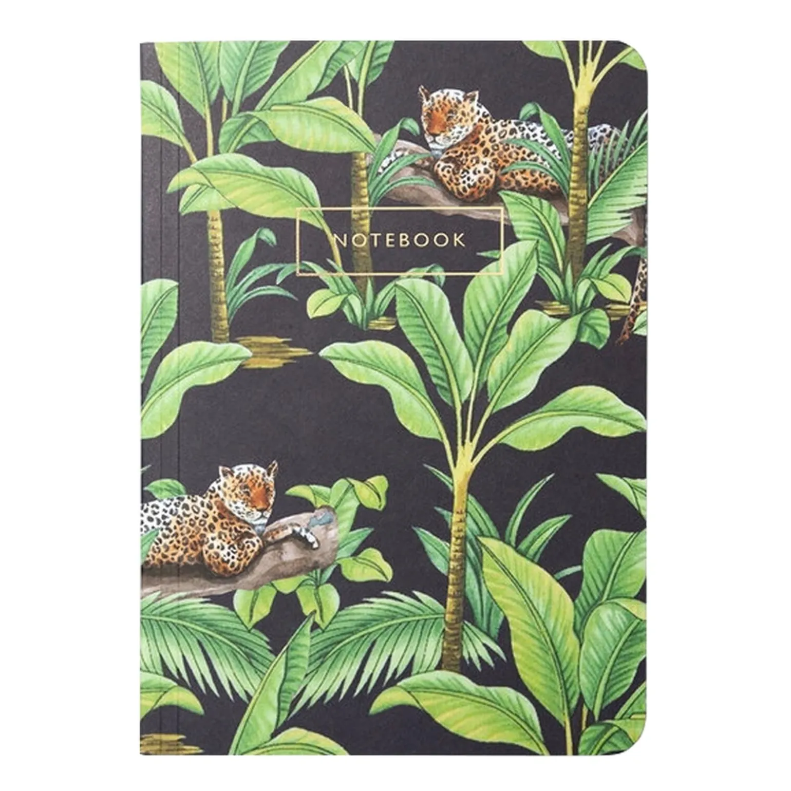 CREATIVE LAB AMSTERDAM Carnet PANTHER BY NIGHT coloris vert - 4MURS