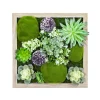 Déco murale EDEN coloris vert - 4MURS