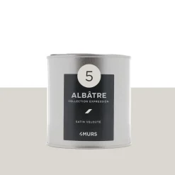 Expression Peinture Finition Peinture blanc albâtre Satiné 0,5 L