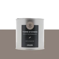 Expression Peinture Finition Peinture terre d'ombre Satiné 0,5 L