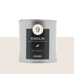 Expression Peinture Finition Peinture blanc kaolin Satiné 0,5 L