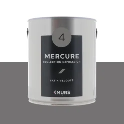 Expression Peinture Multi-supports Peinture mercure Satiné - 4MURS