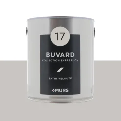 Expression Peinture Multi-supports Peinture buvard Satiné - 4MURS