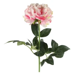 Fleur artificielle PIVOINE ROSALINE coloris vert - 4MURS