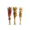 Fleurs séchées ARRANGMENT IN BOTTLE DRIED FLOWERS Ø6X40CM C/3 Jaune / Rouge