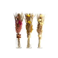 Fleurs séchées ARRANGMENT IN BOTTLE DRIED FLOWERS Ø6X40CM C/3 Jaune / Rouge