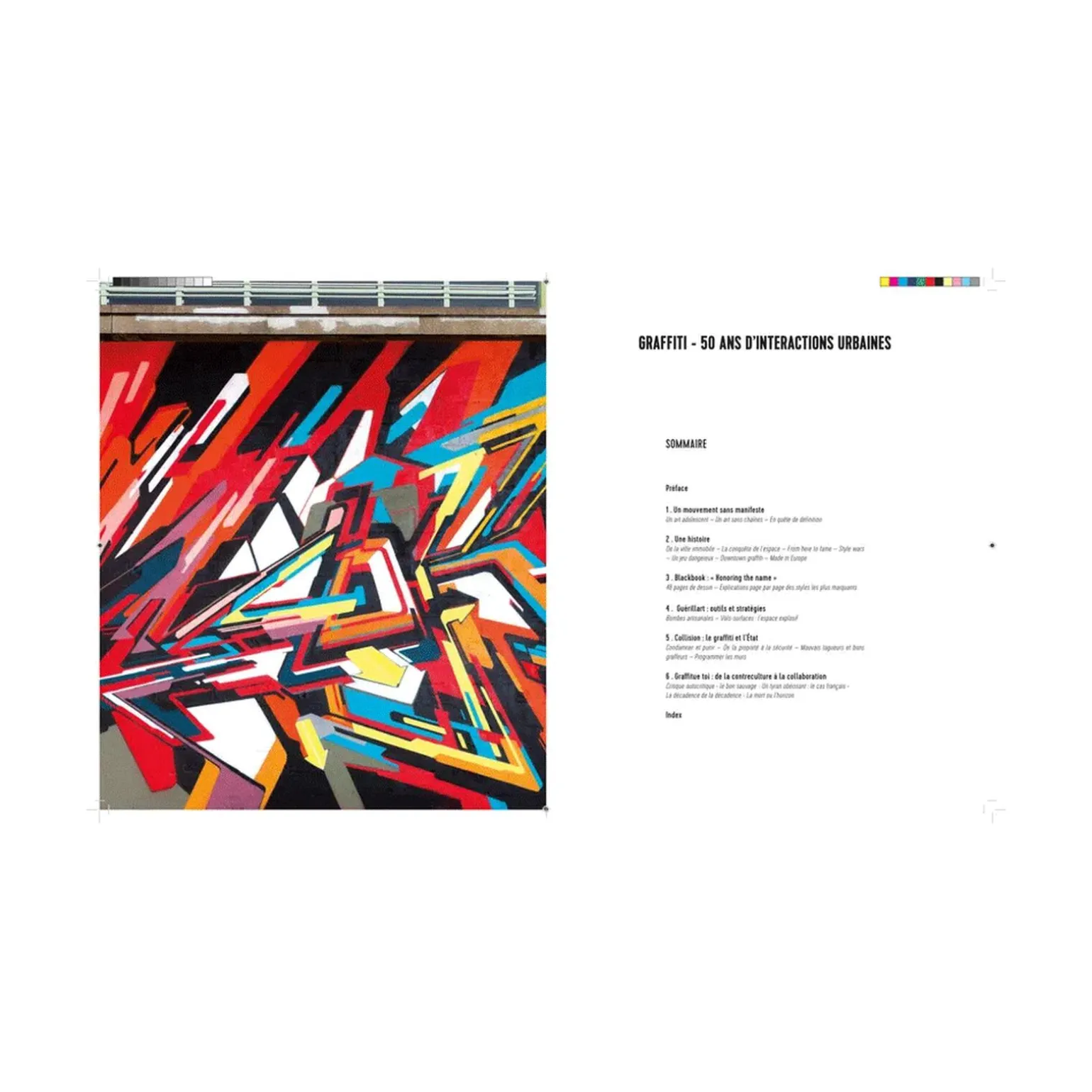 Hachette Pratique Livre arts GRAFFITI 50 ANS D'INTERACTIONS URBAINES