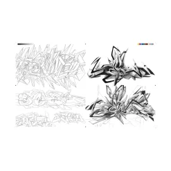 Hachette Pratique Livre arts GRAFFITI 50 ANS D'INTERACTIONS URBAINES