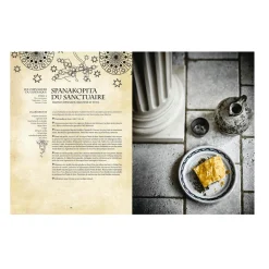 Hachette Pratique Livre culinaire GASTRONOGEEK RECETTES VÉGÉTARIENNES