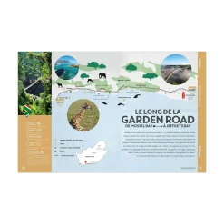 Hachette Pratique Livre voyage et nature ROAD TRIPS - 4MURS