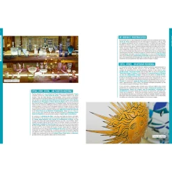 Hachette Pratique Livre voyage et nature NOS 52 WEEK-ENDS COUPS DE COEUR DANS LE GRAND-EST