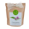 LIFE IN A BAG Plante CIBOULETTE coloris papier kraft - 4MURS
