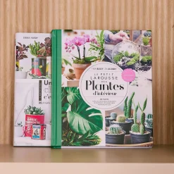 Livre voyage et nature PETIT LAROUSSE DES PLANTES D'INTÉRIEURS - 4MURS