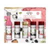 Monin Coffret SIROPS MINI PÉTILLANT - 4MURS