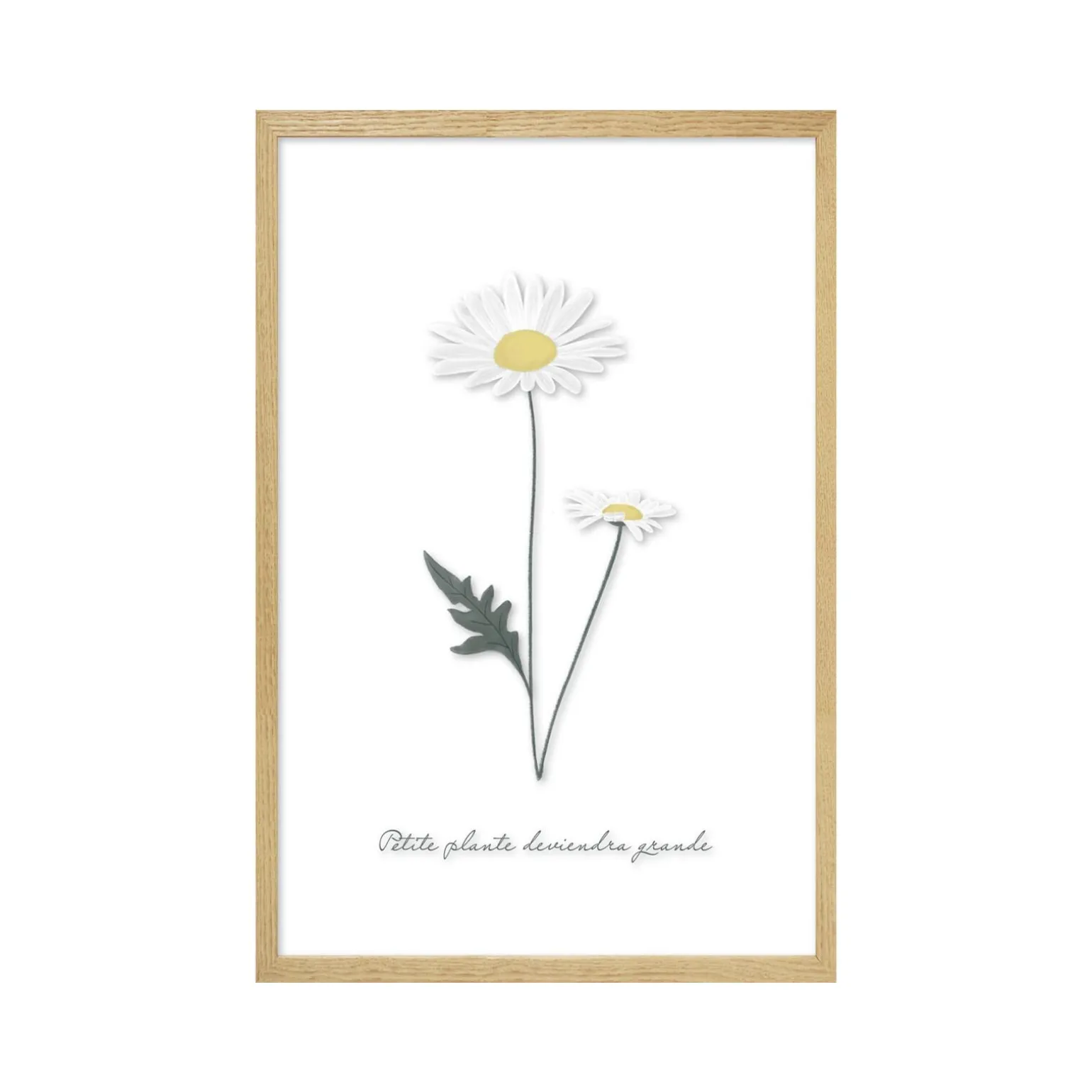 4MURS Image sous verre DOUCE CAMPAGNE MARGUERITE 20 x 30 cm - 4MURS