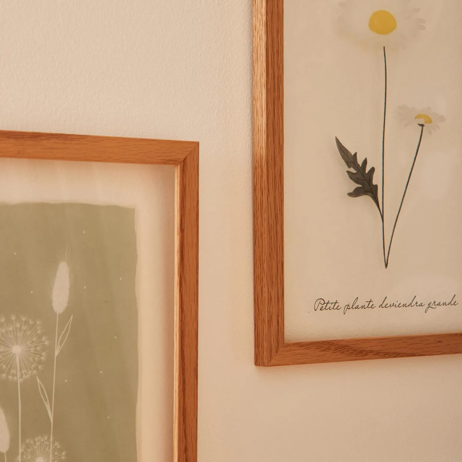 4MURS Image sous verre DOUCE CAMPAGNE MARGUERITE 20 x 30 cm - 4MURS