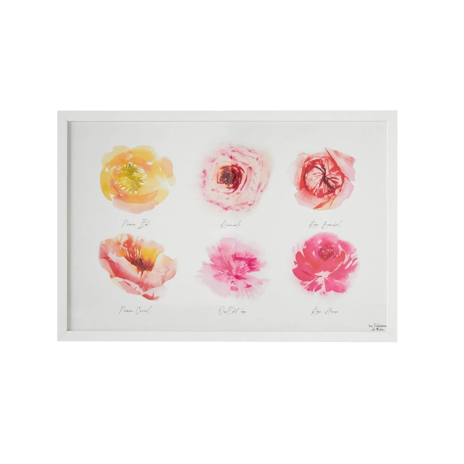 4MURS Image sous verre ROSERAIE 60 x 40 cm - 4MURS
