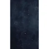 4MURS Papier peint panoramique L ASTRAL SMALL 150 x 270 cm - 4MURS