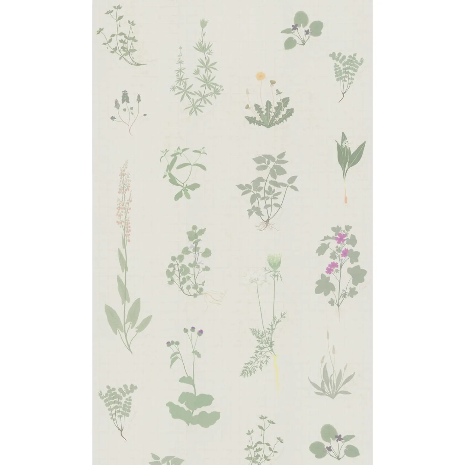4MURS Papier peint panoramique L HERBIER 159 x 270 cm - 4MURS