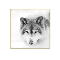 4MURS Tableau SNOW WOLF 40 x 40 cm - 4MURS