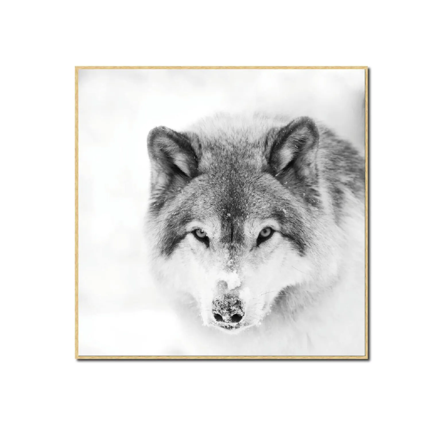 4MURS Tableau SNOW WOLF 40 x 40 cm - 4MURS