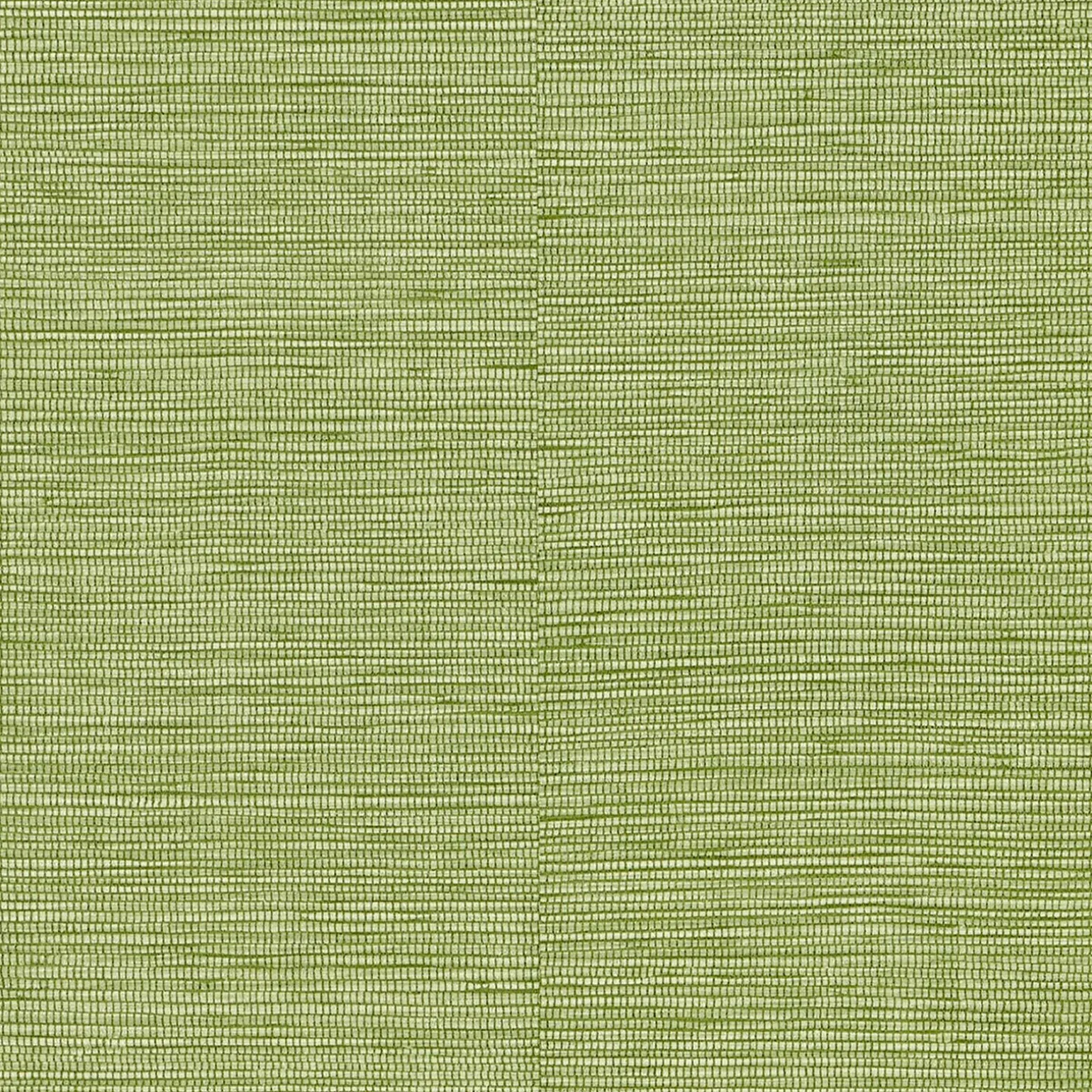 Papier peint intissé CURAÇAO coloris vert bambou - 4MURS