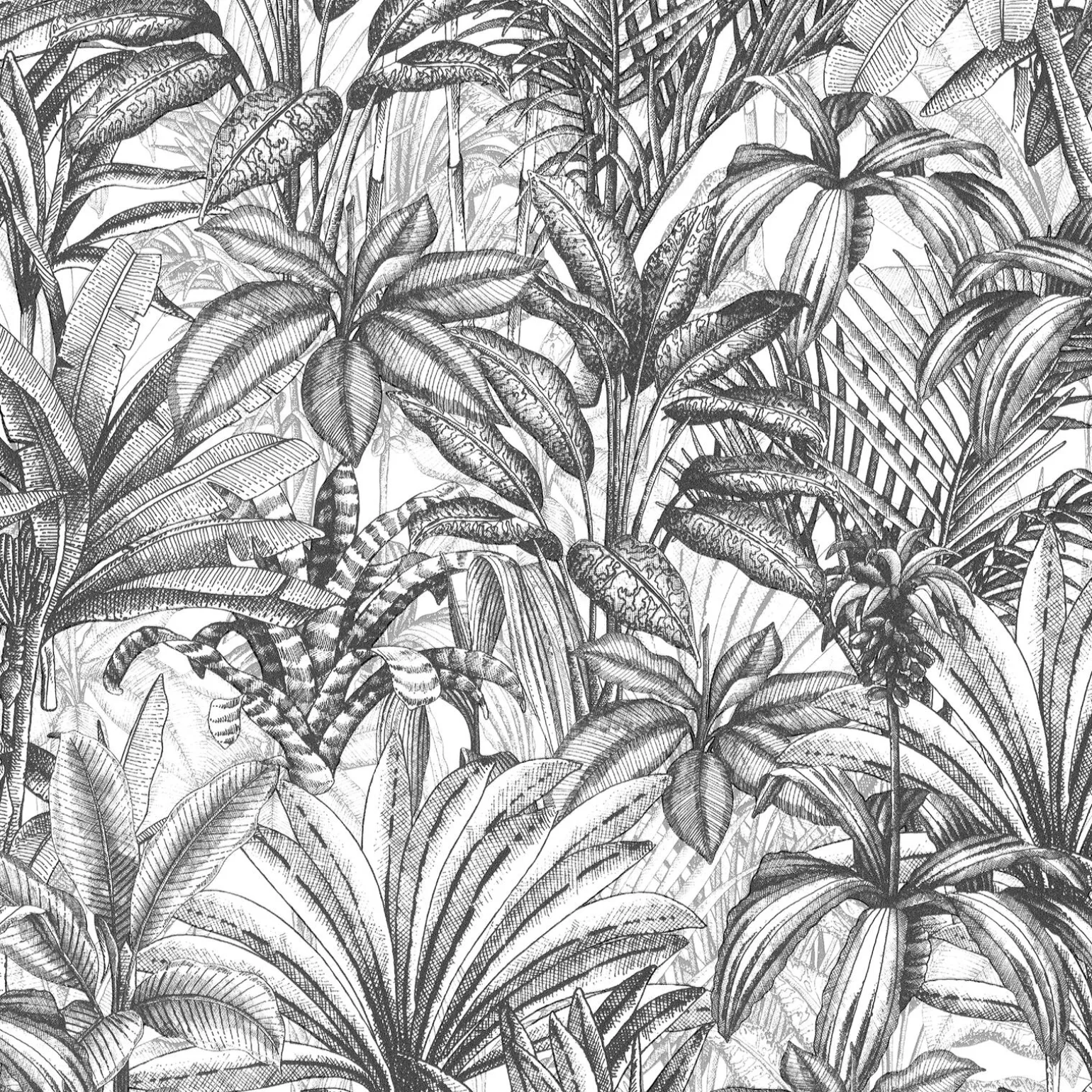 Papier peint intissé JEBHA coloris anthracite - 4MURS