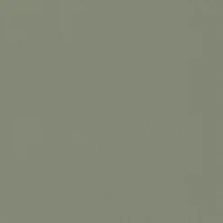 Papier peint intissé NEW INFINITY coloris kaki clair - 4MURS