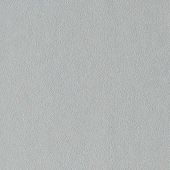Papier peint intissé NEW INFINITY coloris gris béton - 4MURS