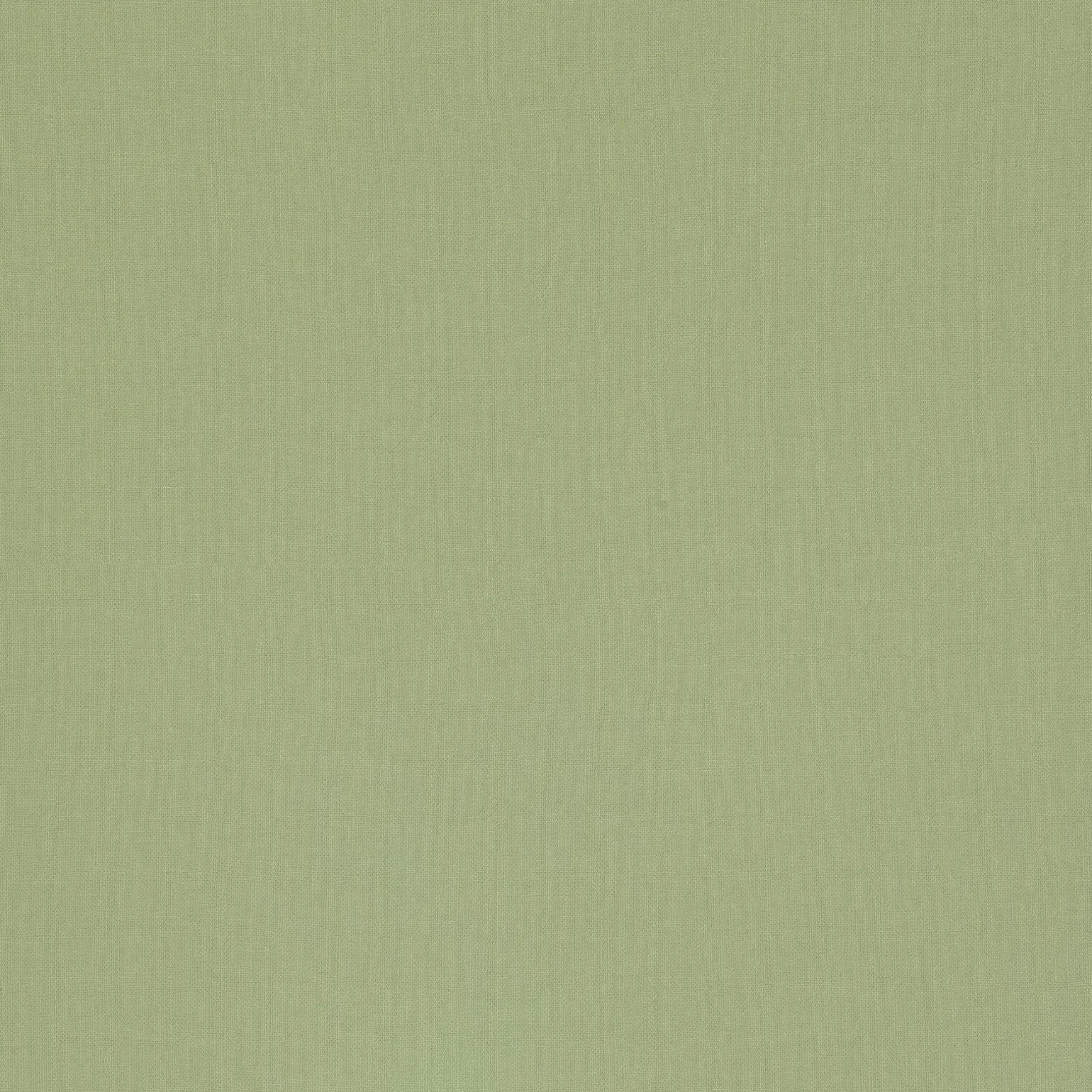 Papier peint intissé NUNCA coloris vert amande - 4MURS