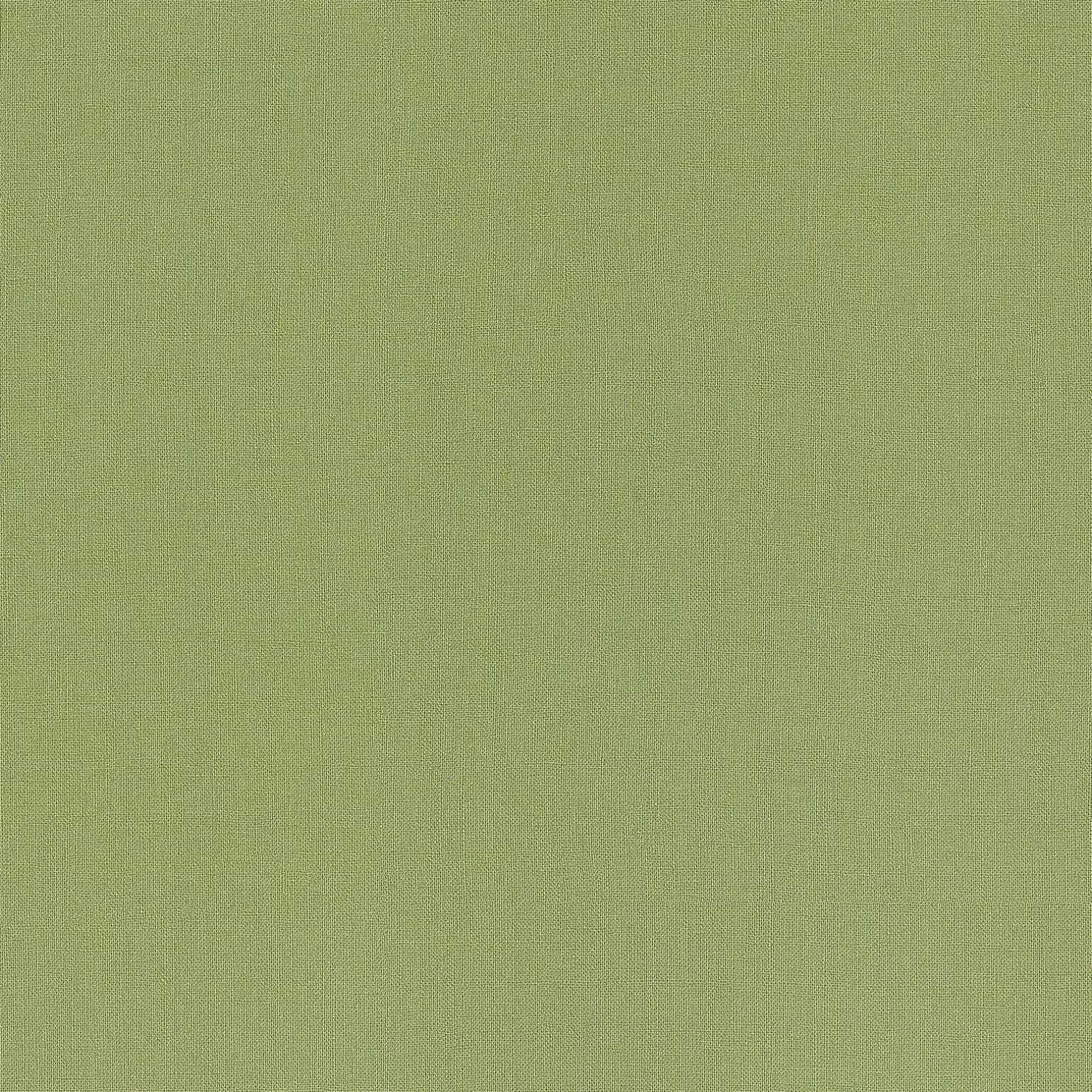 Papier peint intissé NUNCA coloris vert gazon - 4MURS