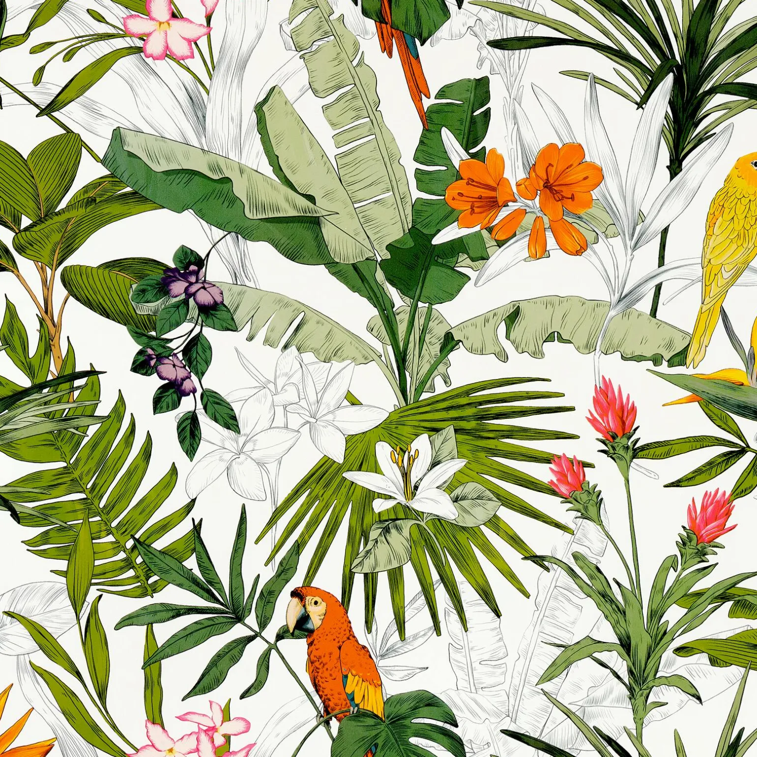 Papier peint intissé PARADISE coloris multicolore - 4MURS
