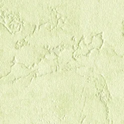 Papier peint intissé RAVENNE coloris vert amande - 4MURS