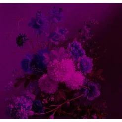 Papier peint panoramique XL GRAPPOLO 300 x 270 cm violet - 4MURS