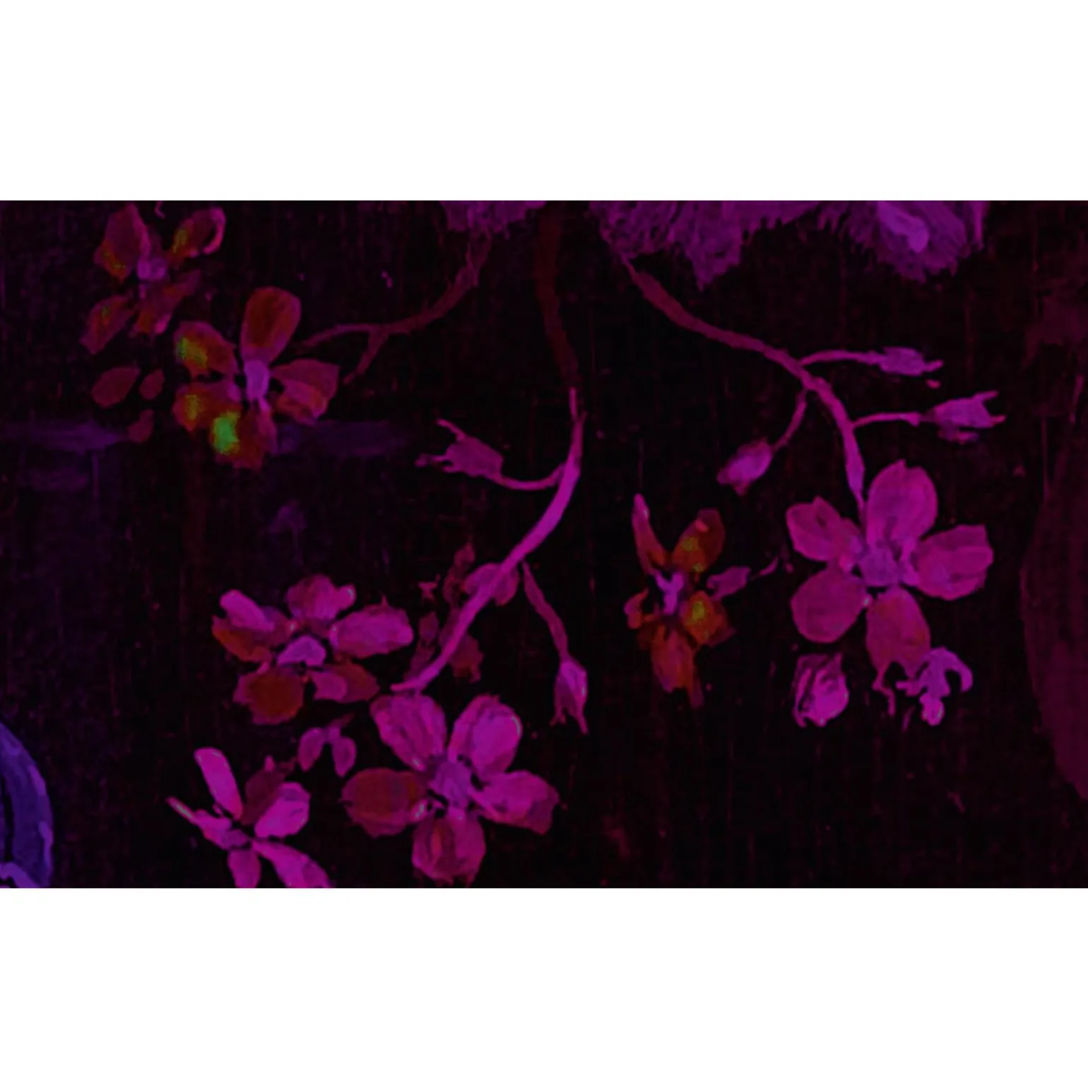 Papier peint panoramique XL GRAPPOLO 300 x 270 cm violet - 4MURS