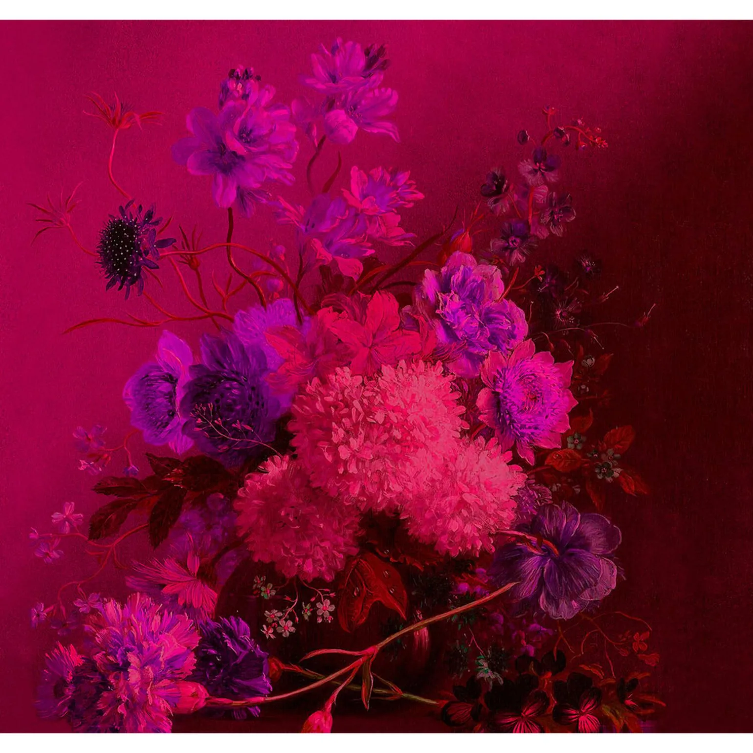 Papier peint panoramique XL GRAPPOLO 300 x 270 cm fuchsia - 4MURS