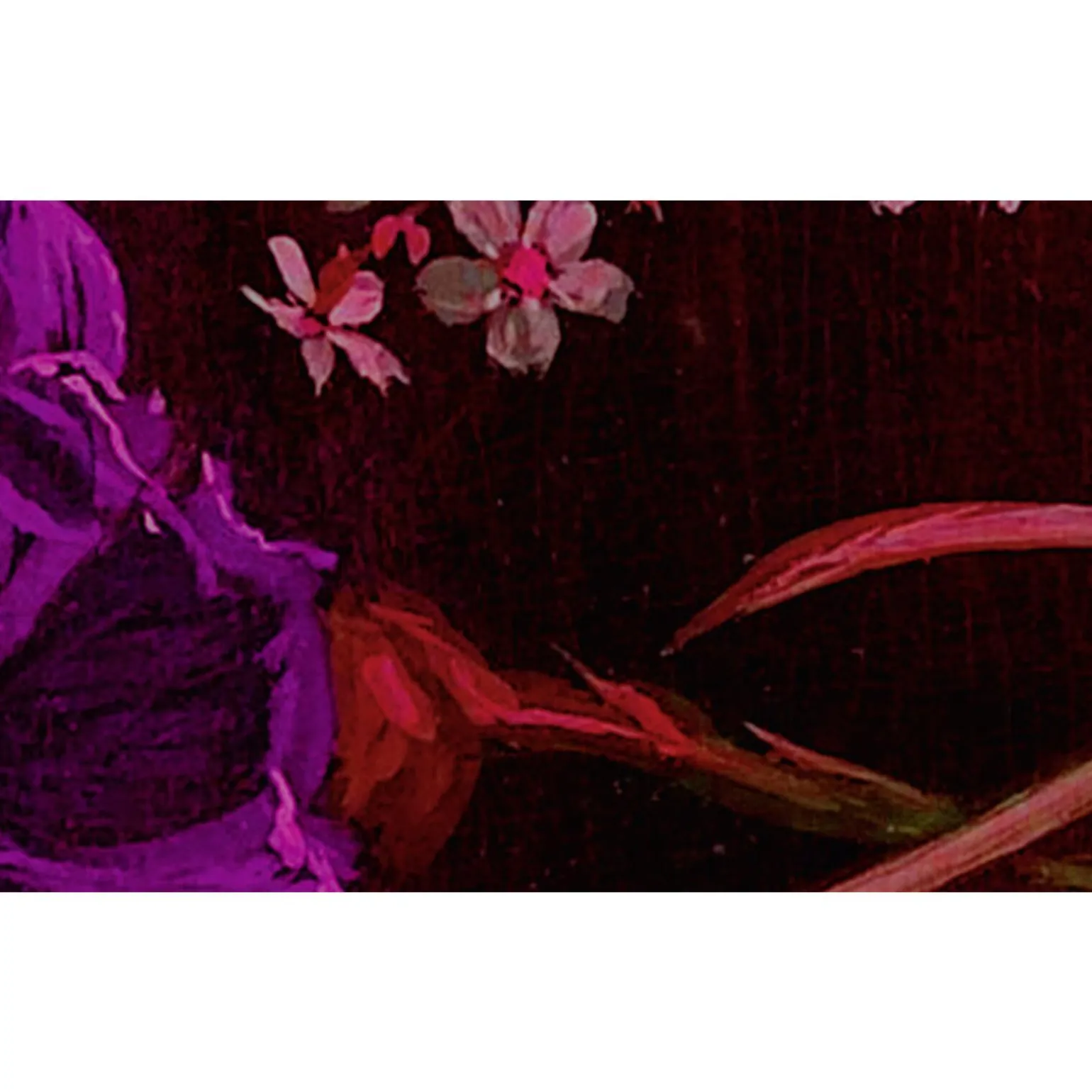 Papier peint panoramique XL GRAPPOLO 300 x 270 cm fuchsia - 4MURS
