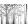 Papier peint panoramique XL AGATIE 400 x 270 cm - 4MURS
