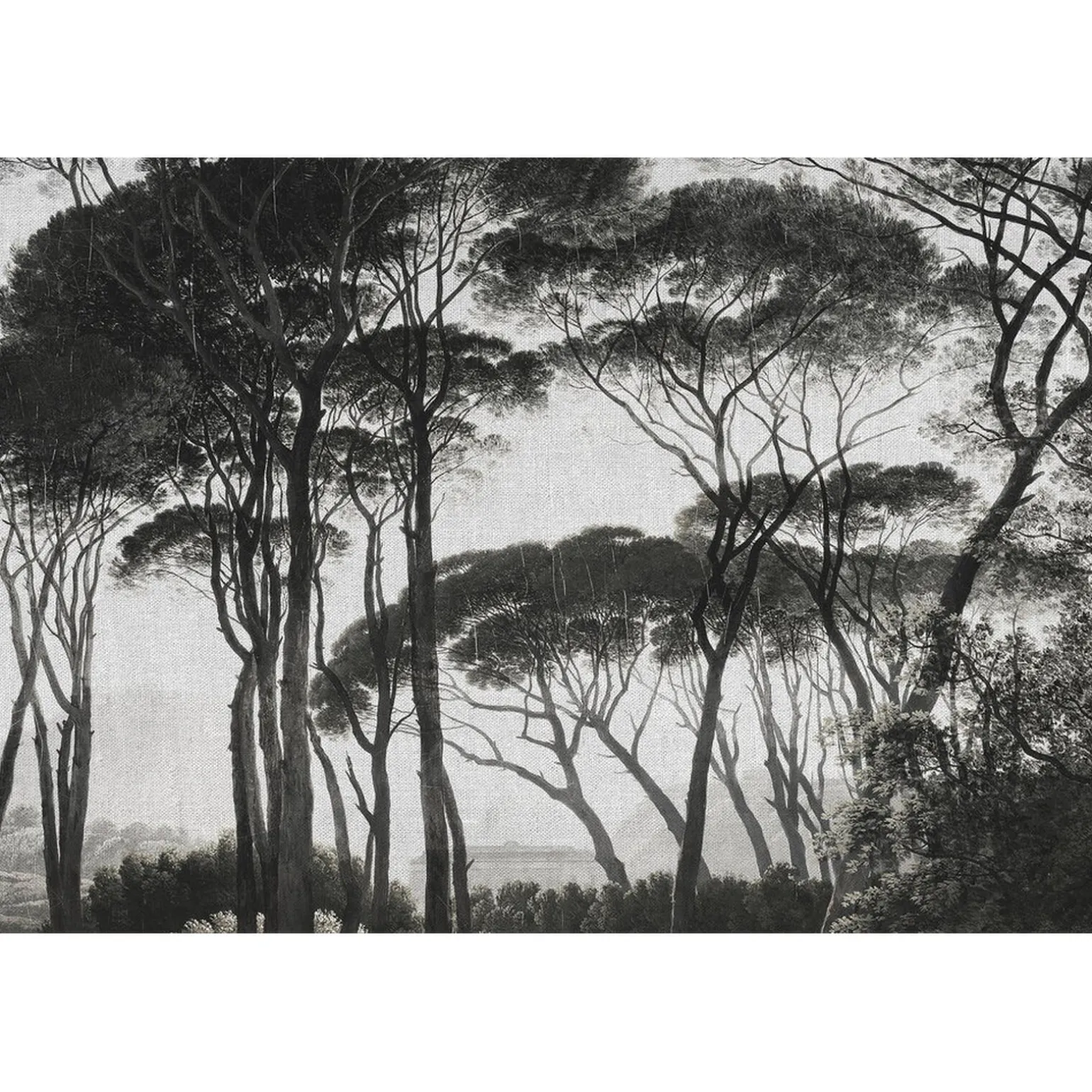 Papier peint panoramique XL BOSQUET 400 x 270 cm anthracite - 4MURS