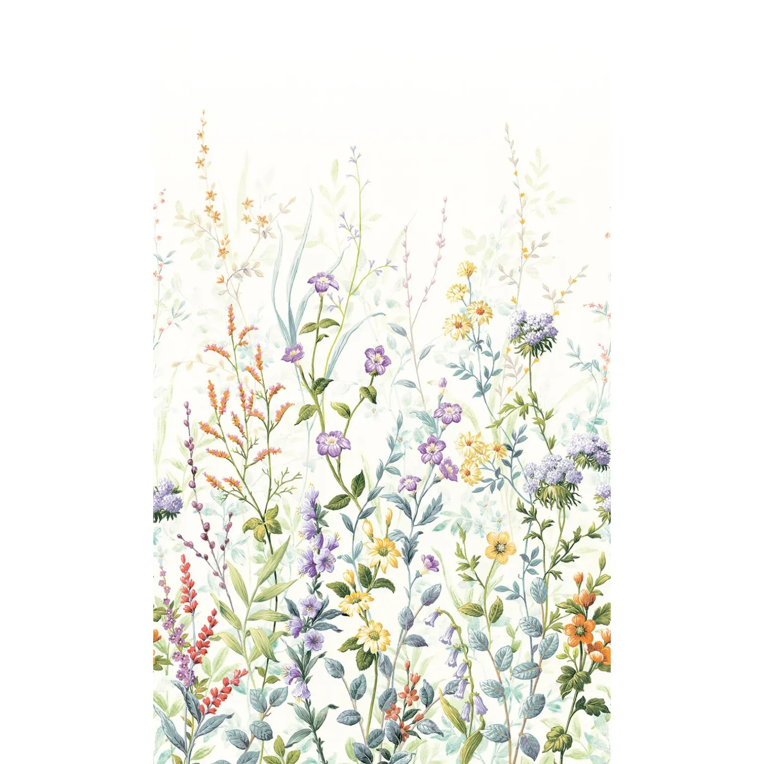 Papier peint panoramique L JASMINE 159 x 280 cm - 4MURS